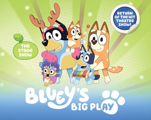 More Info for Bluey's Big Play