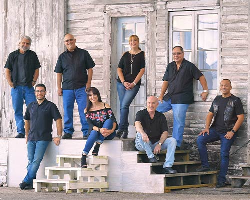 More Info for Top of the World – A Carpenters Tribute Featuring Debbie Taylor
